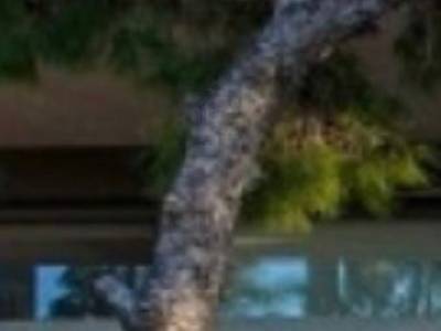 ΟΡΟΦΔΙΑΜΕΡΙΣΜΑ 150ΤΜ  640.000ΕΥΡΩ