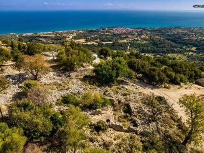 ΟΙΚΟΠΕΔΟ 215ΤΜ  40.000ΕΥΡΩ
