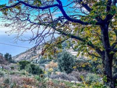 ΜΟΝΟΚΑΤΟΙΚΙΑ 100ΤΜ  100.000ΕΥΡΩ