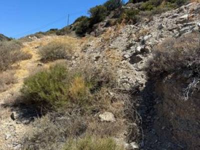ΟΙΚΟΠΕΔΟ 20.000ΤΜ  920.000ΕΥΡΩ