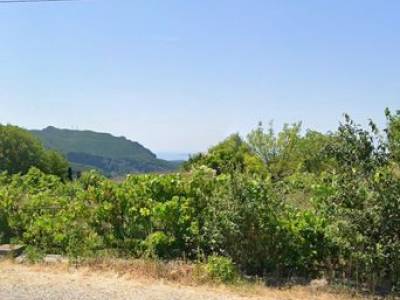 ΟΙΚΟΠΕΔΟ 630ΤΜ  180.000ΕΥΡΩ