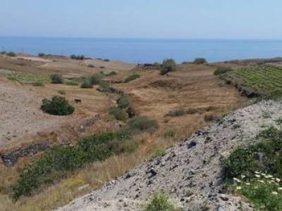 ΟΙΚΟΠΕΔΟ 4.015ΤΜ  130.000ΕΥΡΩ