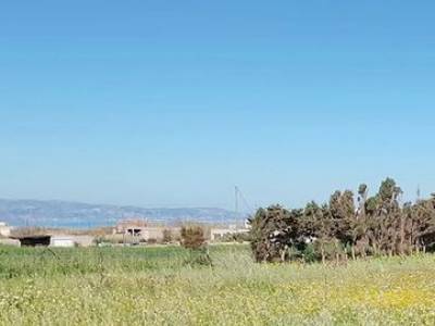 ΟΙΚΟΠΕΔΟ 250ΤΜ  60.000ΕΥΡΩ