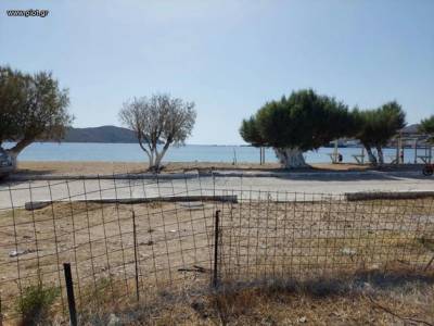ΟΙΚΟΠΕΔΟ 415ΤΜ  320.000ΕΥΡΩ