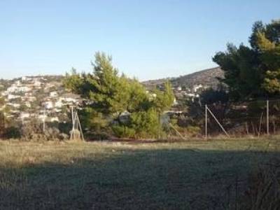 ΟΙΚΟΠΕΔΟ 360ΤΜ  250.000ΕΥΡΩ