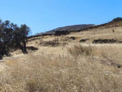 ΟΙΚΟΠΕΔΟ 6.400ΤΜ  160.000ΕΥΡΩ