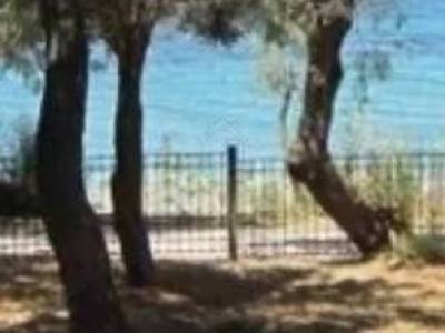 ΟΙΚΟΠΕΔΟ 865ΤΜ  3.500.000ΕΥΡΩ