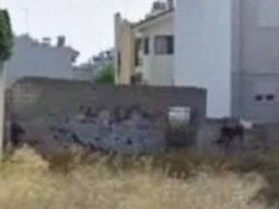 ΟΙΚΟΠΕΔΟ 220ΤΜ  380.000ΕΥΡΩ