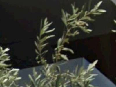 ΟΡΟΦΔΙΑΜΕΡΙΣΜΑ 127ΤΜ  600.000ΕΥΡΩ