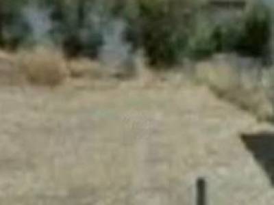 ΟΙΚΟΠΕΔΟ 440ΤΜ  350.000ΕΥΡΩ