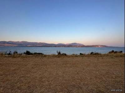 ΟΙΚΟΠΕΔΟ 7.000ΤΜ  250.000ΕΥΡΩ