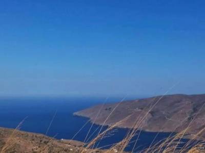 ΟΙΚΟΠΕΔΟ 5.154ΤΜ  110.000ΕΥΡΩ