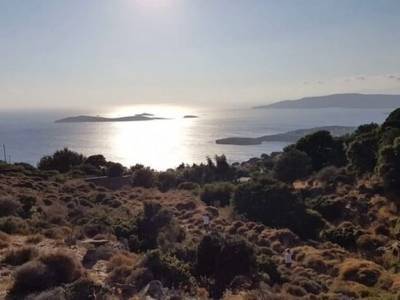 ΟΙΚΟΠΕΔΟ 5.200ΤΜ  90.000ΕΥΡΩ