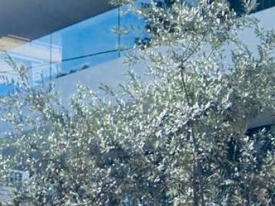 ΜΟΝΟΚΑΤΟΙΚΙΑ 460ΤΜ  2.400.000ΕΥΡΩ