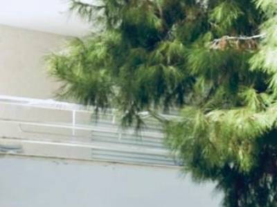 ΜΟΝΟΚΑΤΟΙΚΙΑ 100ΤΜ  250.000ΕΥΡΩ