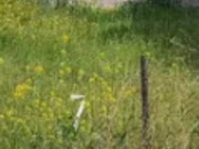 ΟΙΚΟΠΕΔΟ 412ΤΜ  700.000ΕΥΡΩ
