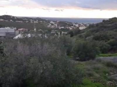 ΜΟΝΟΚΑΤΟΙΚΙΑ 250ΤΜ  12.000ΕΥΡΩ