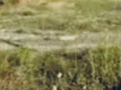 ΟΙΚΟΠΕΔΟ 1.286ΤΜ  3.500.000ΕΥΡΩ