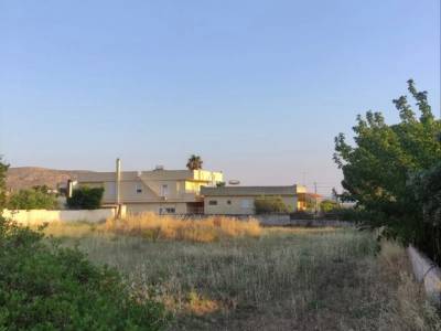 ΟΙΚΟΠΕΔΟ 1.200ΤΜ  350.000ΕΥΡΩ