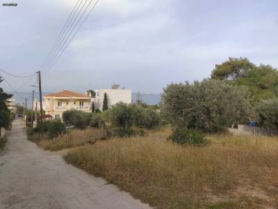 ΟΙΚΟΠΕΔΟ 750ΤΜ  400.000ΕΥΡΩ