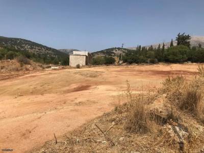 ΟΙΚΟΠΕΔΟ 5.400ΤΜ  200.000ΕΥΡΩ